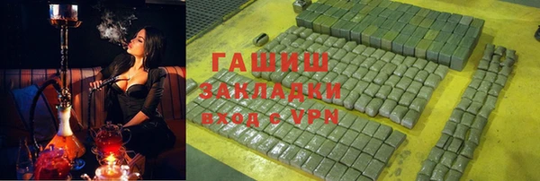 индика Арсеньев