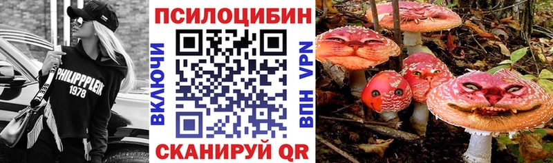 где купить наркоту  Слюдянка  Псилоцибиновые грибы прущие грибы 
